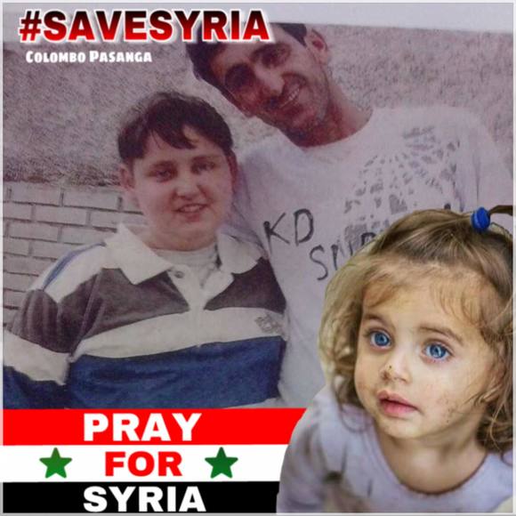 Meet your Posher, Daniel - Picture 1 of 1